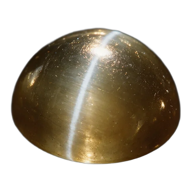 A cat's eye chrysoberyl cabochon with a sharp chatoyant band.